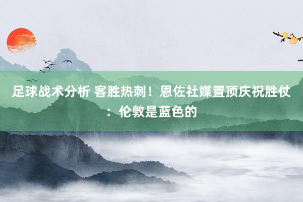 足球战术分析 客胜热刺！恩佐社媒置顶庆祝胜仗：伦敦是蓝色的