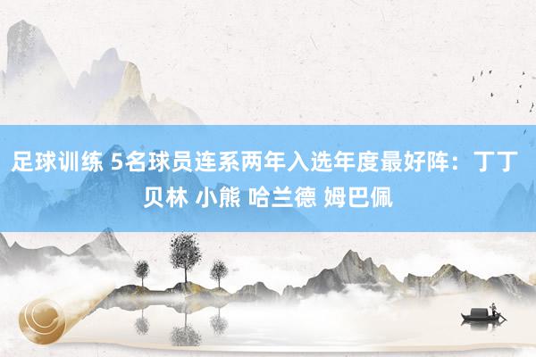 足球训练 5名球员连系两年入选年度最好阵：丁丁 贝林 小熊 哈兰德 姆巴佩